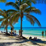 playa Cuba turismo sol palmera