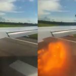 avion cuba accidente aves despegue