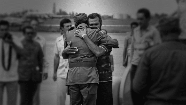 tortoló y fidel