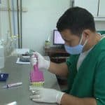 Innovación cubana: nueva prueba rápida para detectar dengue