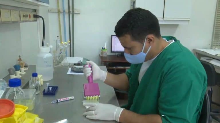 Innovación cubana: nueva prueba rápida para detectar dengue